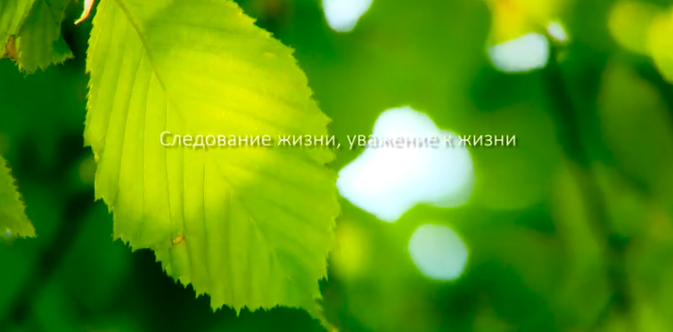 太阳集团tcy8722集团形象片（русский）